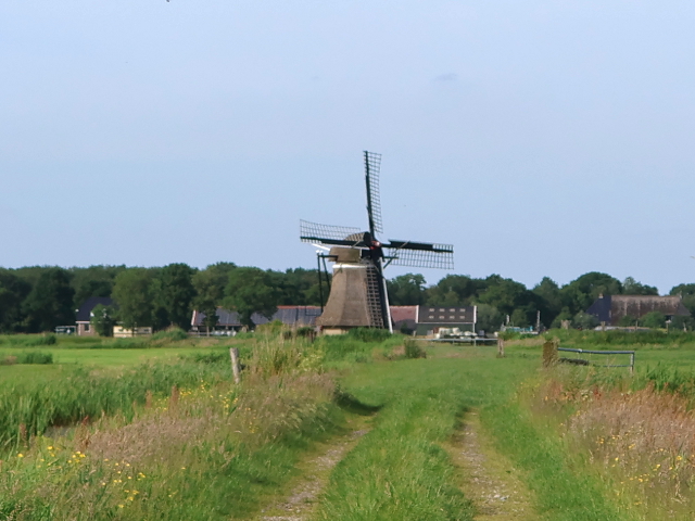 IMG_2770nijemirdum_z