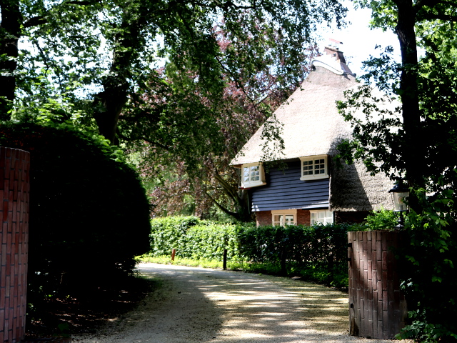 IMG_3001oostvoornereigersnest