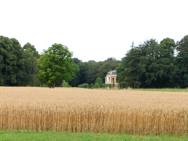 IMG_3737larenhetross