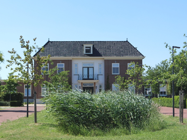 IMG_3964hoenzadrielhetdrielsebosch_z