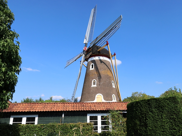 IMG_5506bavel_z