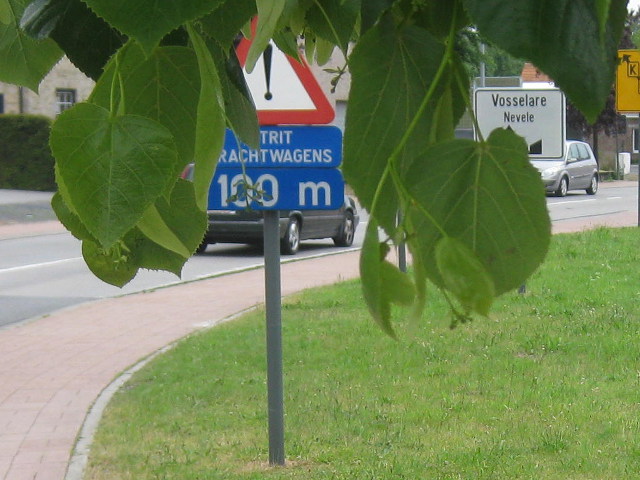IMG_8014vosselare_w