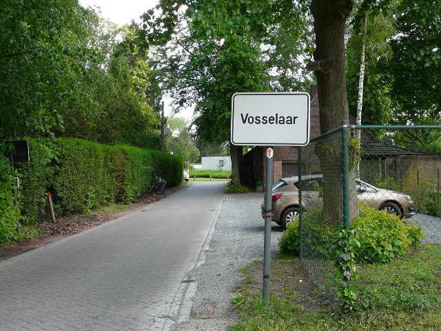 P1060011vosselaar_w