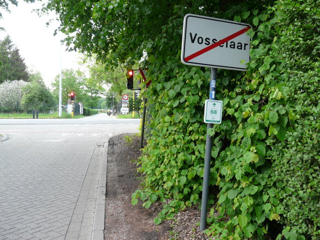P1060012vosselaar_e
