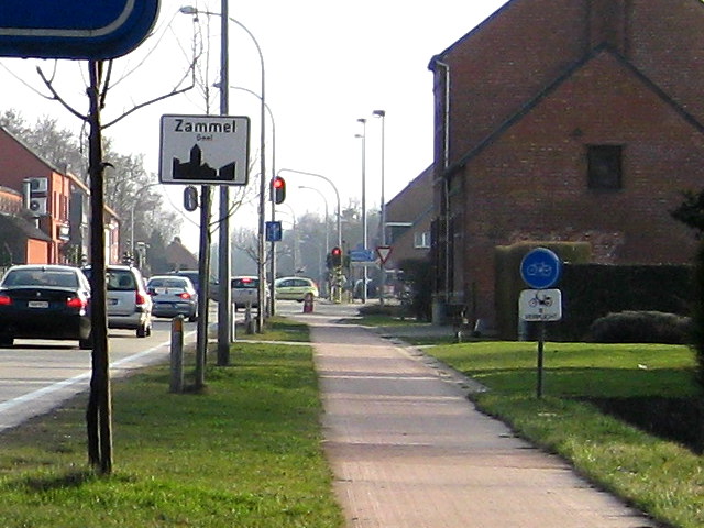 e016zammelgeel_w