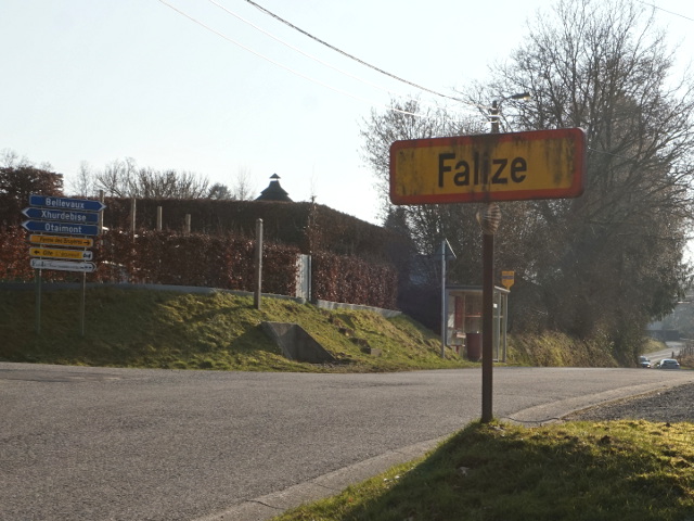 DSC06390falize_g