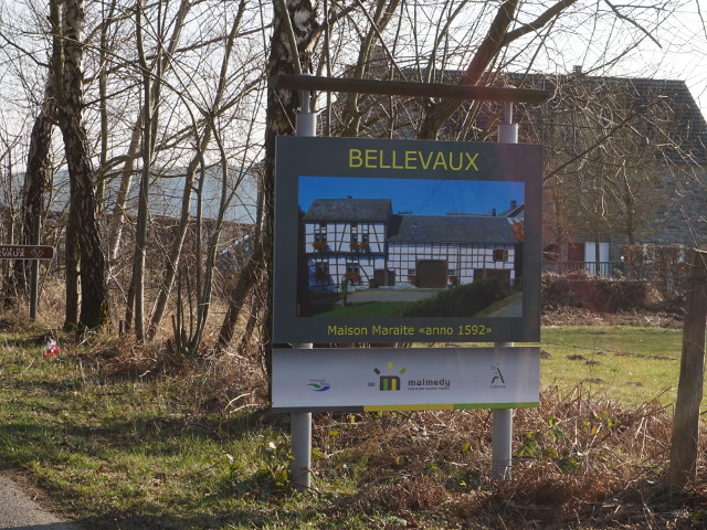 DSC06391bellevaux_n