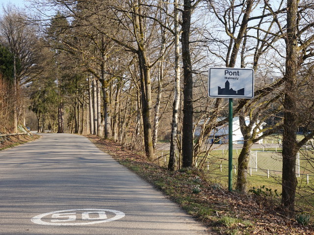 DSC06398pont_w