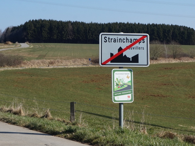DSC06455strainchamps_e