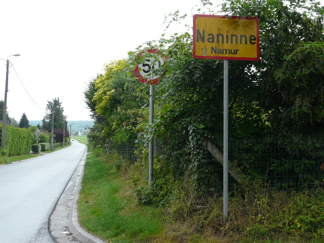 P1060454naninne_g