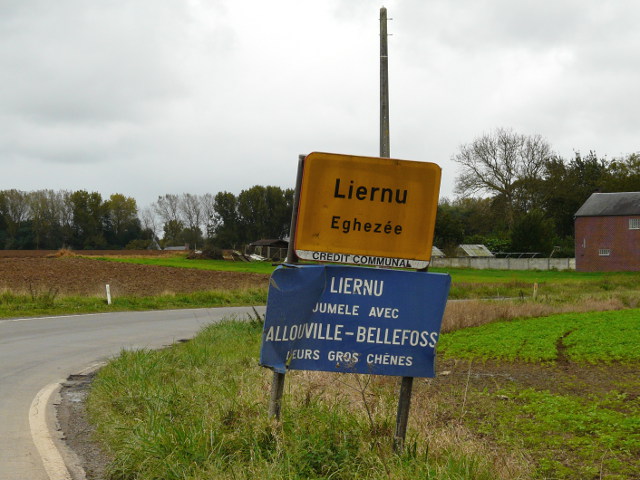 P1100770liernu_g