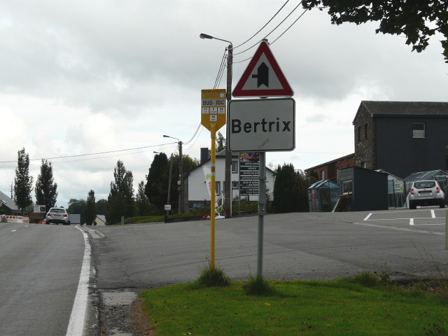 P1100842bertrix_w