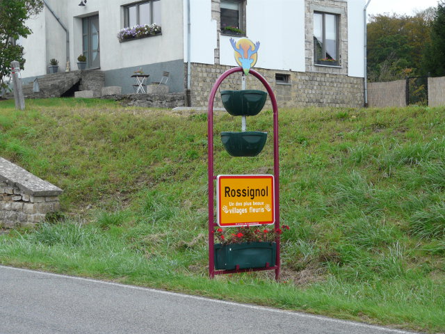 P1100859rossignol_g