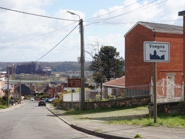 DSC07545vivegnis_w
