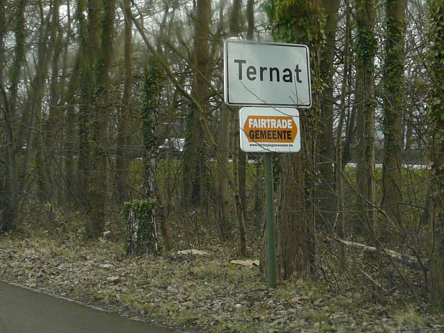 P1130056ternat_w