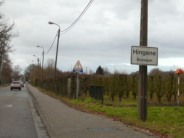 P1130085hingene_w