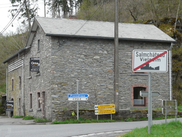 P1150115salmchateau_e