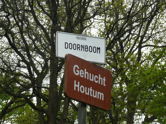 P1150289kasterleehoutum