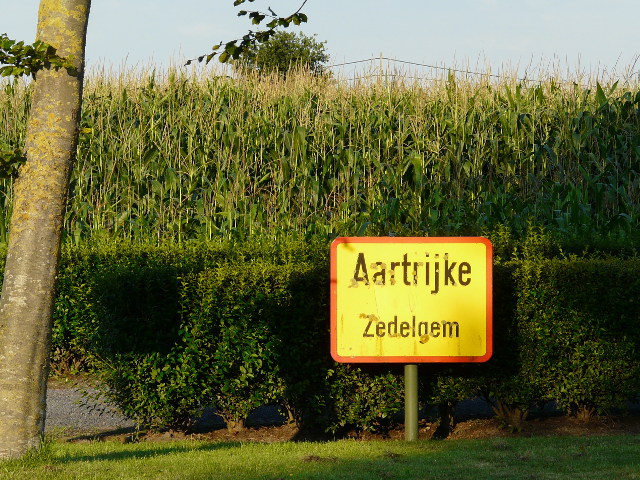 P1190550aartrijke_g
