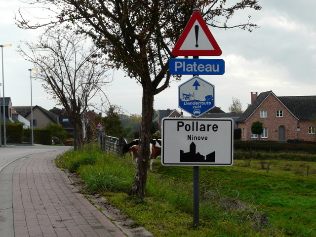 P1190988pollare_w