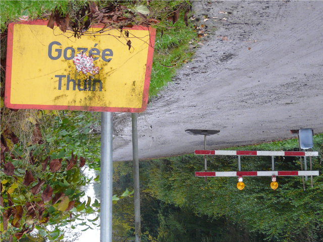 P1200054gozee_g