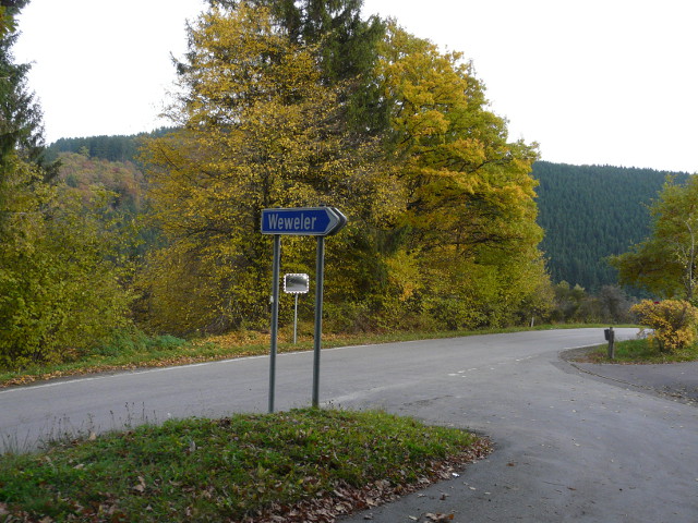 P1200286weweler_x