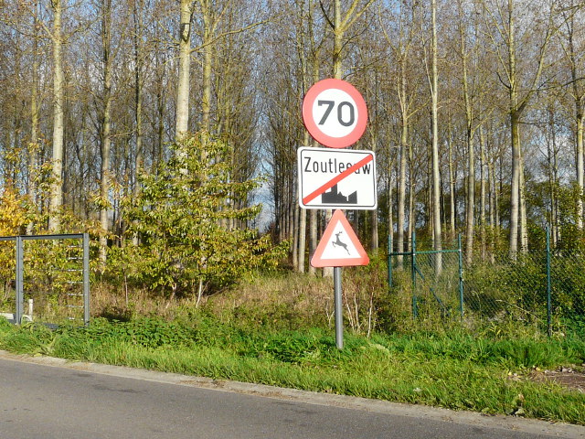 P1200499zoutleeuw_e