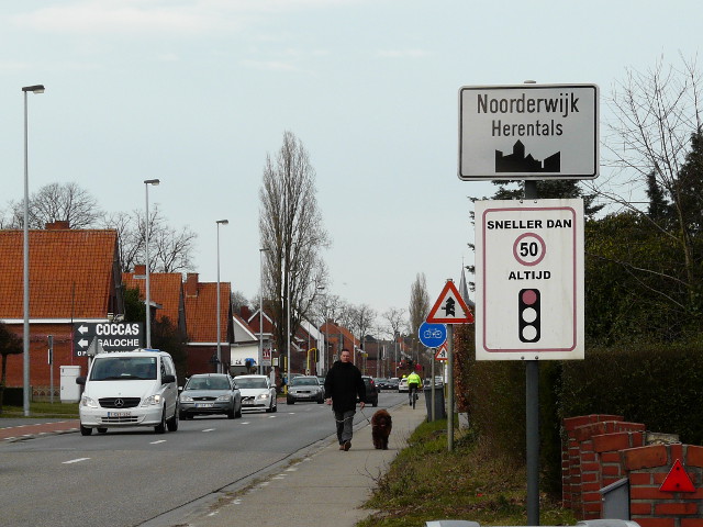 P1210981noorderwijk_w