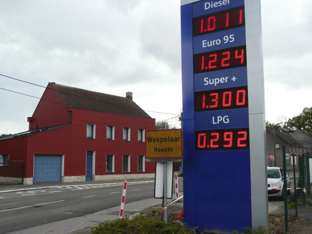 P1240337wespelaar_g