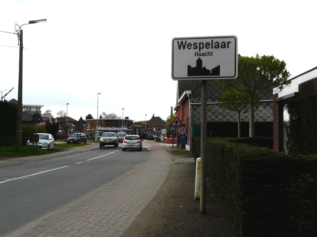 P1240340wespelaar_w