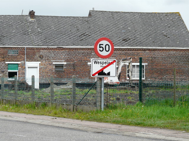 P1240341wespelaar_e