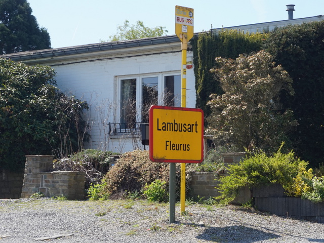 DSC08194lambusart_g