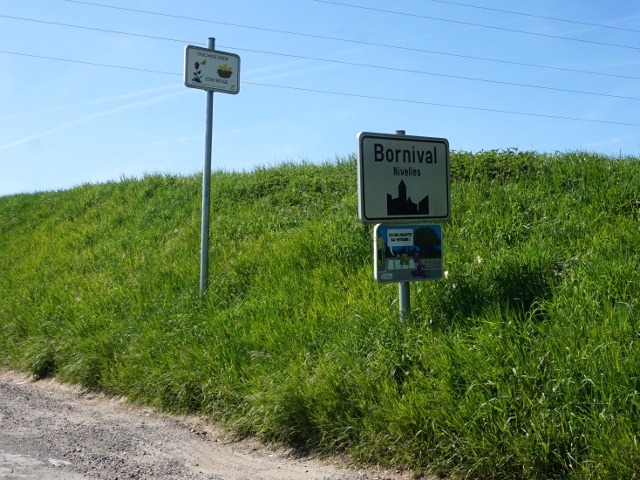 DSC08203bornival_w