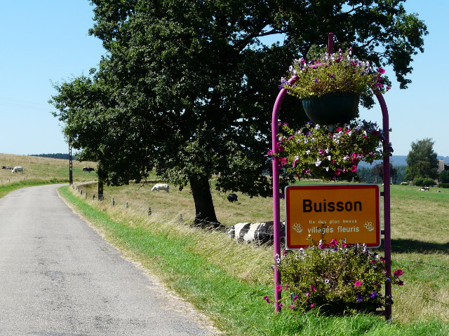 P1270255buisson_g