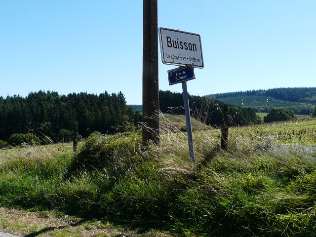 P1270260buisson_w