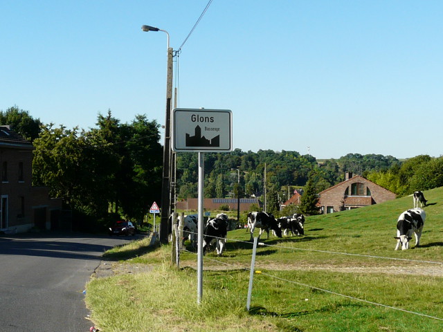 P1270349glons_w