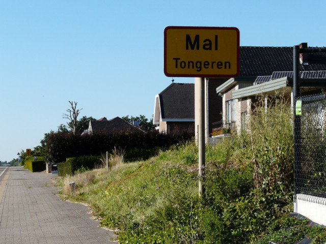 P1270353mal_g