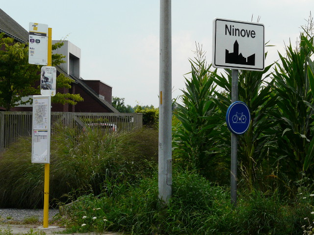 P1270489ninove_w