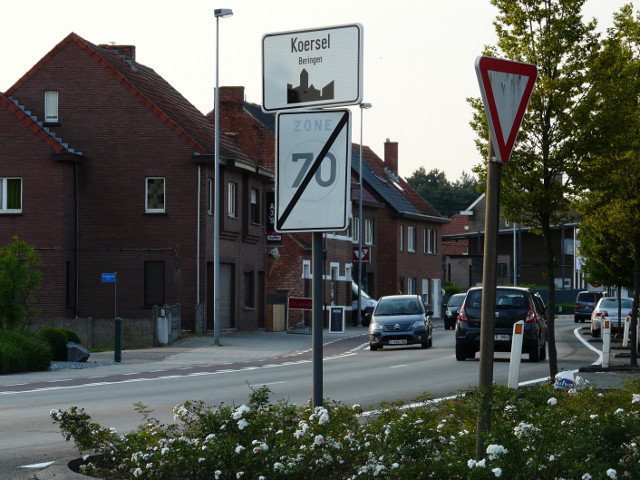 P1270638koersel_w