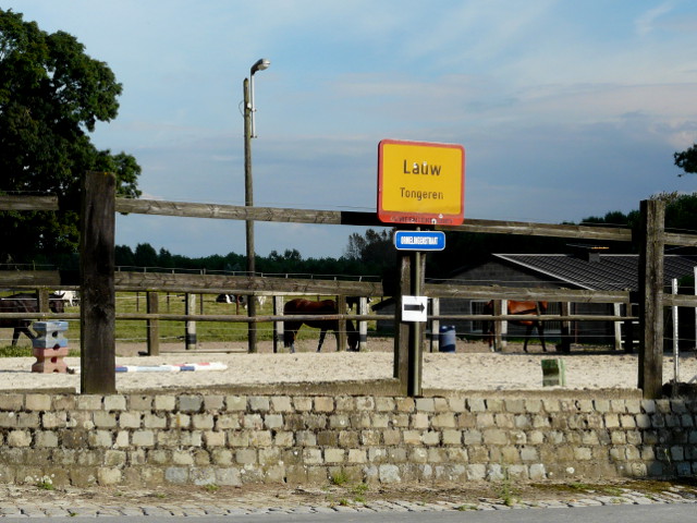 P1270908lauw_g