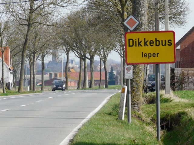 P1300741dikkebus_g