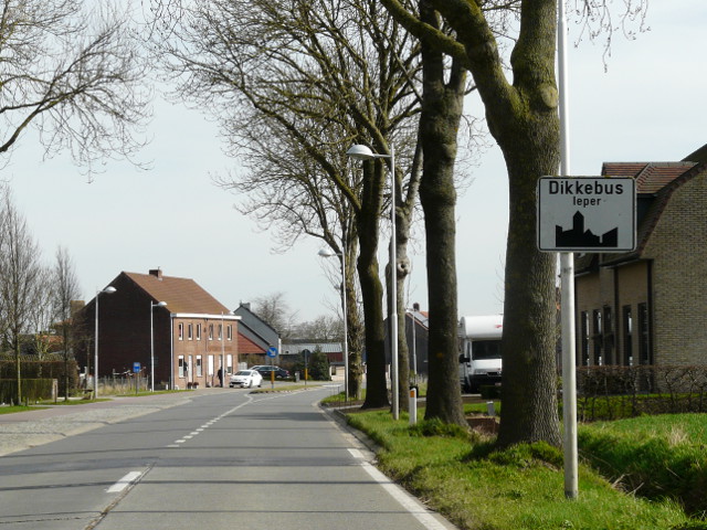 P1300742dikkebus_w