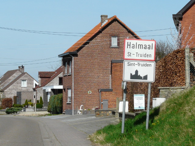 P1310146halmaal_g