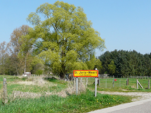 P1310258stjorisweert_g