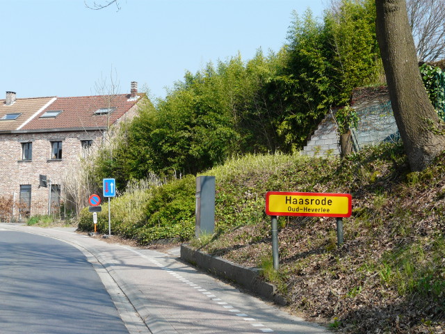 P1310265haasrode_g