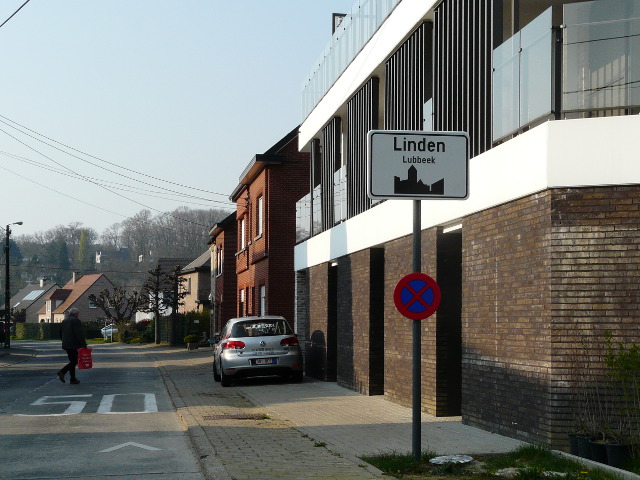 P1310317linden_w