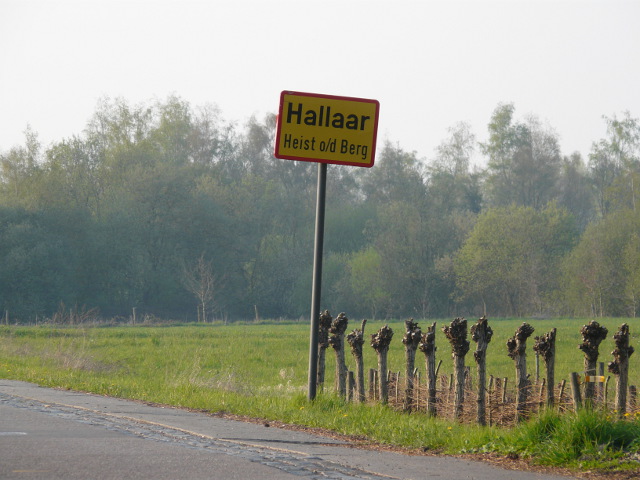 P1310337hallaar_g