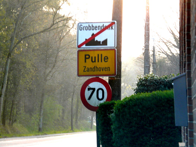 P1310342pulle_g