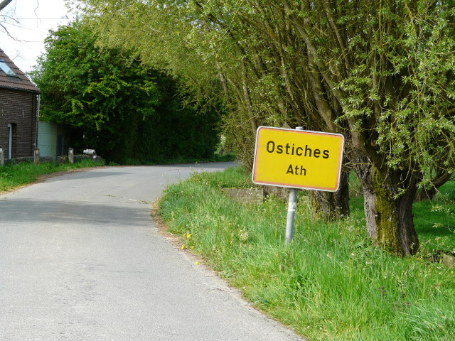 P1310721ostiches_g