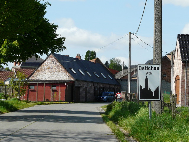 P1310723ostiches_w